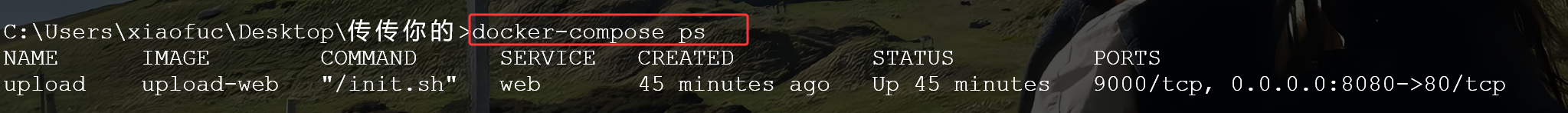 image-20250329133739127